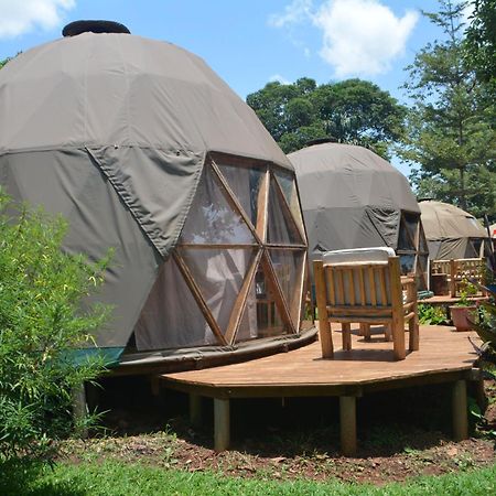 Hostel Jinja Backpackers Zewnętrze zdjęcie