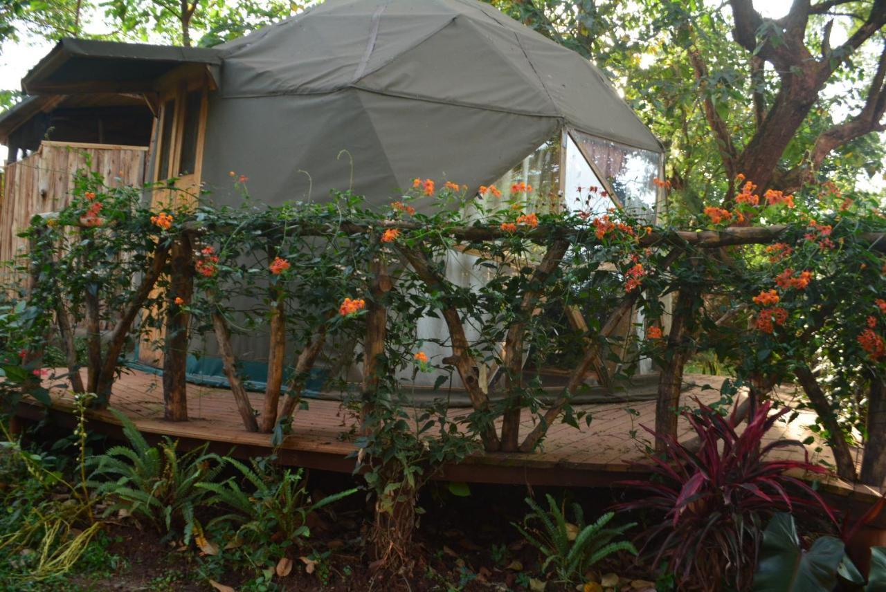 Hostel Jinja Backpackers Zewnętrze zdjęcie